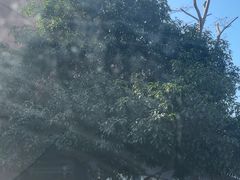 -西溪天堂·悦居