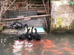 -第五季龙水凤港生态露营农场