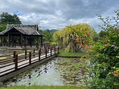 -中国科学院西双版纳热带植物园
