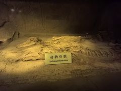-汉景帝阳陵博物院
