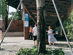 -广东惠东海龟国家级自然保护区