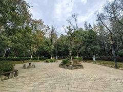 -洛龙公园