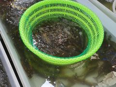 -韩家墅海吉星农产品批发市场