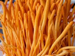 虫草花-四川香天下火锅(上海城店)