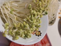 -钢管厂五区小郡肝串串香(蜀都万达店)