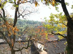 -塔川景区