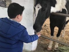 -松声马术俱乐部