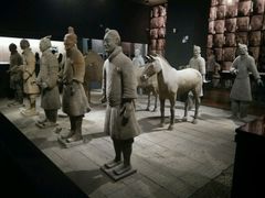 展品-陕西历史博物馆