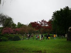 -虞山风景区