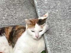 -江南大学(蠡湖校区)