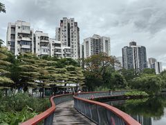 -四海公园(南山区)