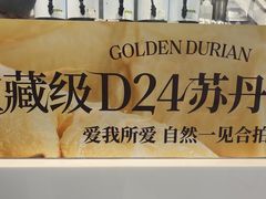 -树夏(金楠天街店)