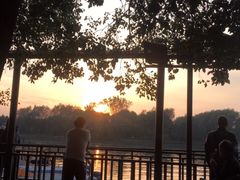 -溱湖国家湿地公园