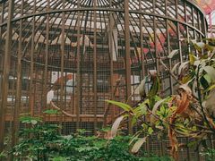 -南宫五洲植物乐园