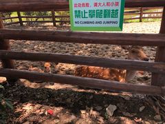 -苏州太湖西山岛开心农场
