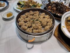 -新楚记