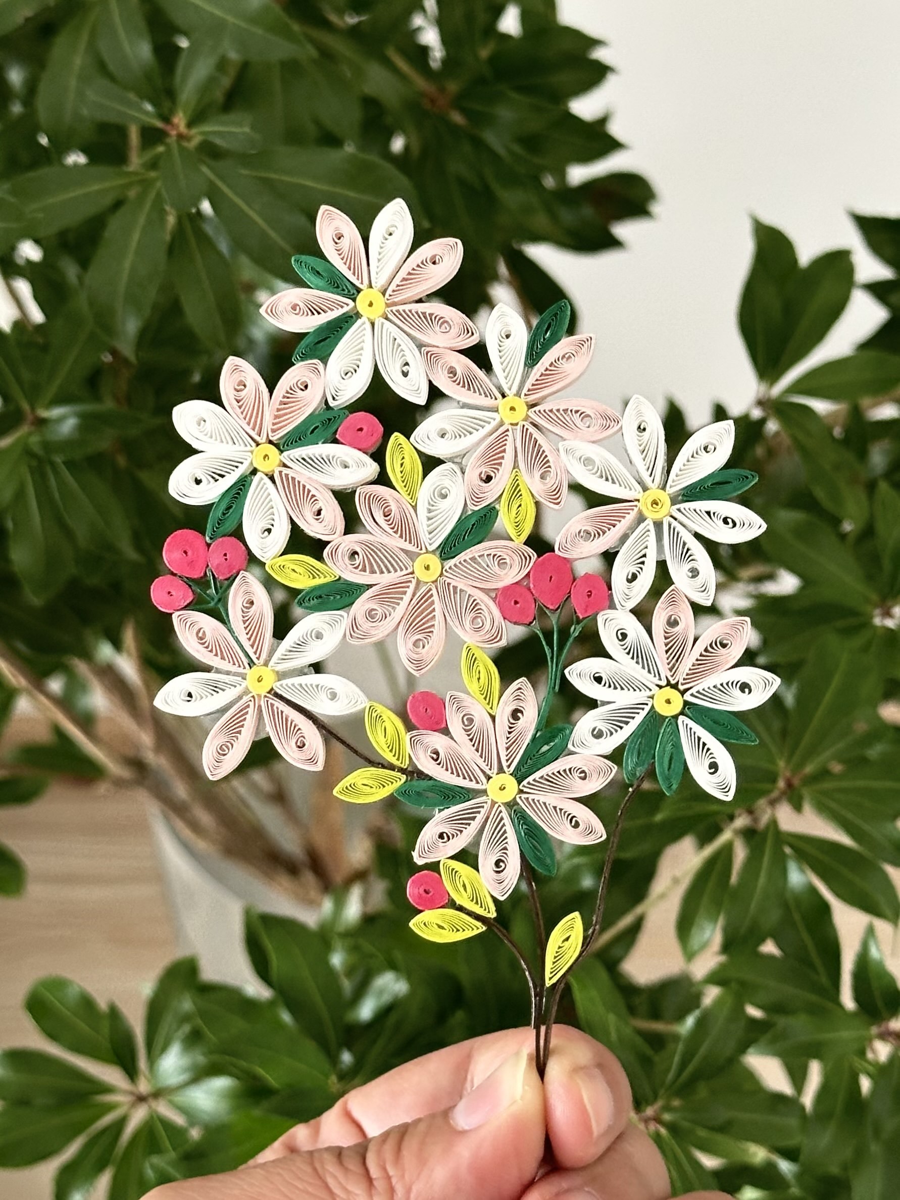 大风吹落海棠一地,我手里的却开了!