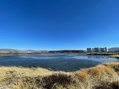 -洱海月湿地公园