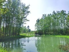 -桤木河湿地公园