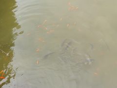 -中华石雕艺术园