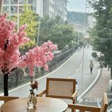 贵阳花溪也有啦！国风新中式奶茶店🍵～🌸