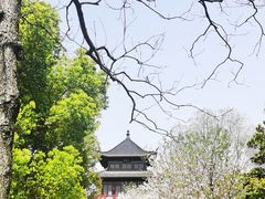 -堤角公园