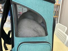 -瑞鹏宠物医院·骨科·猫科·内科(第一中心)