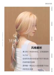 -YESIDO椰岛造型