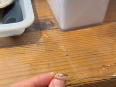 -十八字金·银饰·拼豆·开蚌DIY(魏公芳华里店)