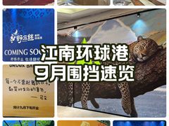 -江南环球港