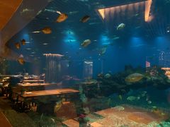 -涛·海底餐厅·美人鱼·自助餐·海底隧道(三亚海棠湾洲际度假酒店)