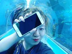 -波塞冬旅游度假区