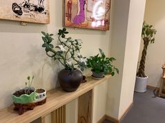 -老成都·古法采耳·禅洗头疗(四川总店)