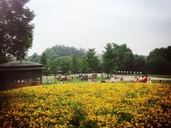 -保利石象湖景区