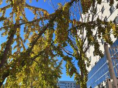 -长椿街(地铁站)