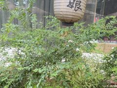 -醉二娘正宗西昌火盆烧烤(大丰店)