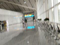 -张家界荷花国际机场航站楼-国内出发