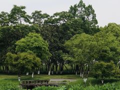 -良渚古城遗址公园