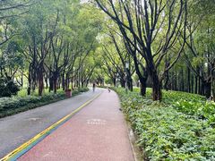 -顺峰山公园