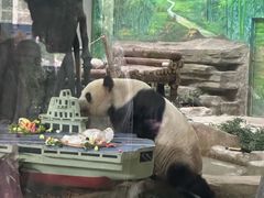 -灵玲国际马戏城