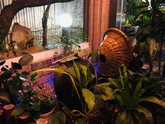 -古都梅按摩足浴(世界广场店)