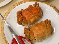 清水大闸蟹-王宝和酒家(黄浦店)