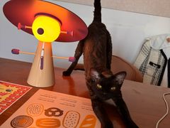 -小田油焖小龙虾(双井店)