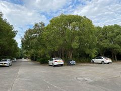 -胜华驾校·小猫学车(银都店)