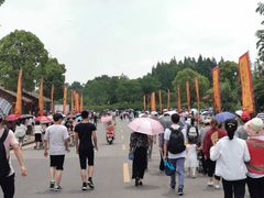 -杏花村文化旅游区