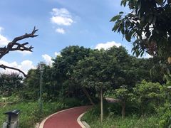 -鹤之洲湿地公园