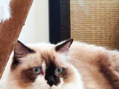 -seeu coffee(江滩店)