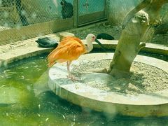 -青藏高原野生动物园