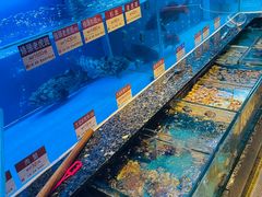 水产区-协成海鲜火锅(海洋花园店)