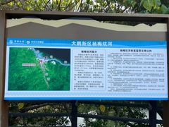 -杨梅坑
